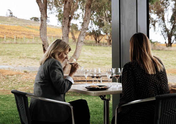 Cellar Door Wine Tasting
